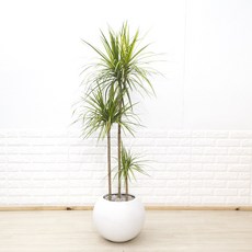 119d767345d99fe1c7144d12abe6c21b8777f927ed990f3f63a17de6b135.jpg