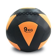 프로모릭스 파워 웨이트볼 9kg, 1개