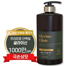 더노우 극 손상모 고함량 단백질 글라이신 LPP 미용실 트리트먼트 1L, 1개 1개, 1000ml