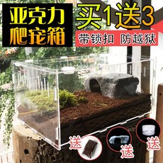 파충류 콘스네이크 도마뱀 투명 사육장