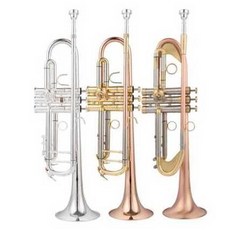 입문용 트럼펫 연습용 초보 공연 악기 연주 학생용, YTR-4335GS(실버 모델), 1개