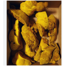 [농장직송] 국산 장수상황버섯 전통 자연재배 50g 100g 국산상황버섯 상황버섯 국내산상황버섯 장수상황버섯국산 국내상황버섯 상황버섯국내산, 1개