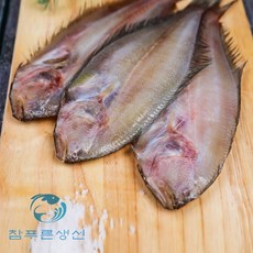 여름생선회