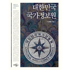 국가정보원법