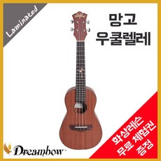 드림보우기타