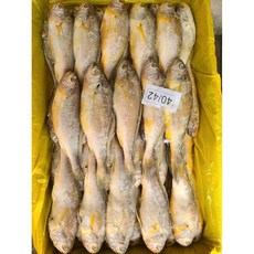 삼성씨푸드 참조기 3.5kg 1박스 중국산 조기 침조기 가정용 업소용 도매, 1개, 3.5kg 40/42마리