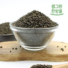 메밀수확시기