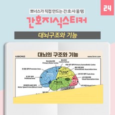뽀너스 [간호지식스티커] 대뇌 기능과 구조