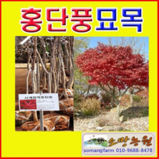 eb055d486fe319758ee1613209a9c45ab95e3aed1cf3b01805d18e7979cf.png
