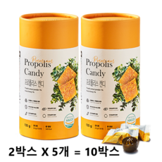 뉴트라라이프 프로폴리스 캔디, 270g, 5개