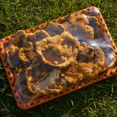해품푸드 국내산 장수 상황버섯 500g 최상품, 1개