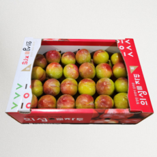 [산지직송] 고당도 자두 과즙팡팡 새콤달콤한 제철과일 1kg, 자두 2kg(특), 1개
