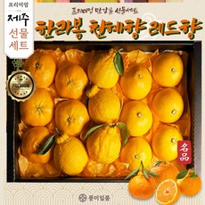 풍미일품 프리미엄 한라봉 천혜향 레드향 제주 만감류 혼합 과일 선물 세트, 1박스, 2.한라봉+레드향 중과 3kg