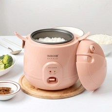 휴대용전기밥솥