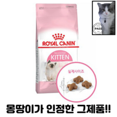 로얄캐닌키튼2kg