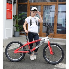 CHINA OEM 20인치bmx자전거 D997, A형