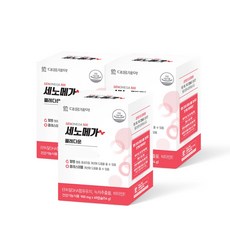 세노이의가르침