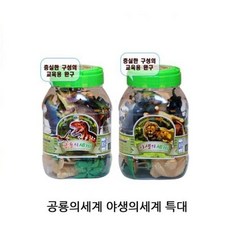 야생의세계특대