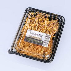 조앤1_땅콩새싹 건채 110g 국내산 가원이네콩 슈퍼푸드 새싹 나물 반찬용새싹TW+3871ML, 선택없음Σ, 선택없음Σ
