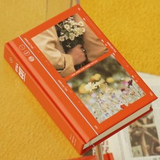 인도사이다 스틸컷 양장 다이어리 만년형, (Vermilion)Colorful Hill, 1개
