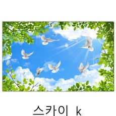 엘리베이터천장