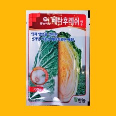 농사친구 베타후레쉬 배추 300립 씨앗 팜한농 흥농 씨 종자 김장 쪽파 고사리 명이나물 산상추 초당옥수수 항암배추 담배 산마늘 아스파라거스 고수, 1봉