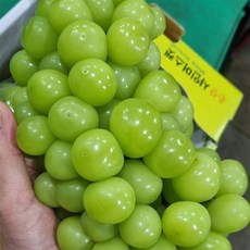 은산북스음악과저작권