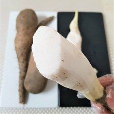 웰마206