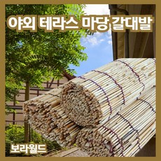 사생활보호발