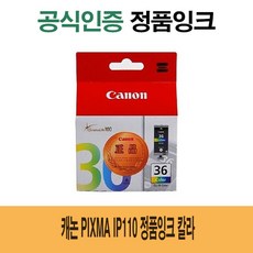 캐논ip110