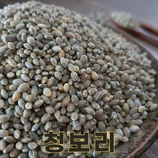 전북 김제 25년산 국산 청보리 1kg 청맥 청보리쌀, 1개