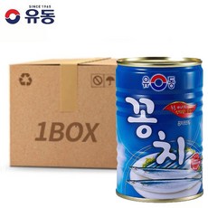 꽁치지마