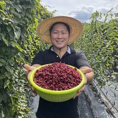 드림드링커