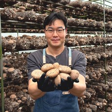 [우아한버섯농장] GAP인증 표고버섯 무농약 생표고버섯 상품 / 실속형(중품), 1개, 생표고버섯 (중품-실속형) 500g