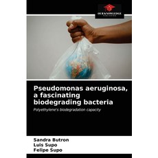bacteria