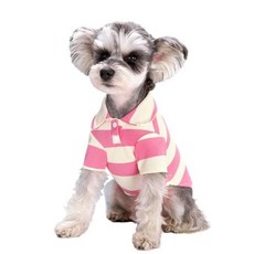 펫 CDDMPET 애완동물 폴로 소형견 강아지 고양이 치와와 프렌치 불독 요키푸들 퍼그 여름 옷, 1개
