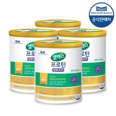 매일유업 셀렉스 프로틴 락토프리 304g 4캔 (304gX4캔), 4개