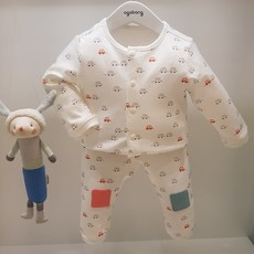 싸이벡스제트아이픽스플러스베이비페어