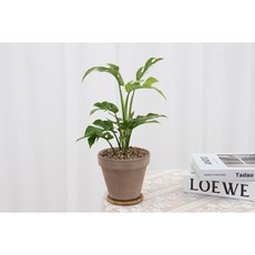 이너프바이제이