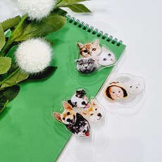 고양이전신제작