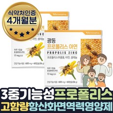 메가덴트