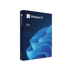 [마이크로소프트] Windows 11 Pro 처음사용자용 패키지(FPP) [한글/설치USB포함/이동설치가능]