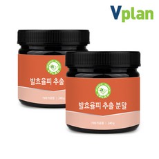브이플랜 발효율피 추출 분말 가루 차 480g 국산 밤속껍질