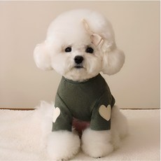 댕미오 강아지 순면 내복 실내복 잠옷, 1개, 그린