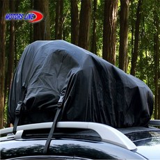 노로토루프박스