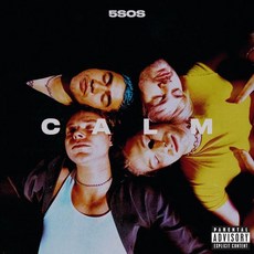 5 Seconds of Summer Vinyl 비닐 LP 레코드 CALM Explicit Lyrics 미국 발송 - surllp