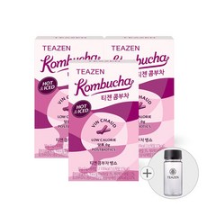 티젠 콤부차 뱅쇼 10스틱 X 3박스 (보틀 증정), 50g, 3개