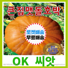 [OK씨앗] [큰집맷돌호박] 호박씨앗 종자(오케이씨앗), 1개