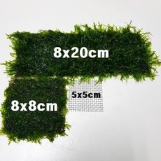 fe0672ad024ee81ccc9fc6415da46ae1b6030b987aabc40ba485063c20d0.jpg