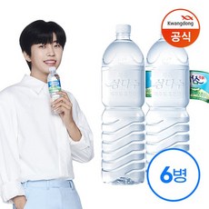 레오 소다 워터, 325ml, 서산